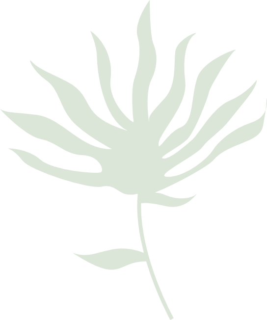 alisados y moldeados