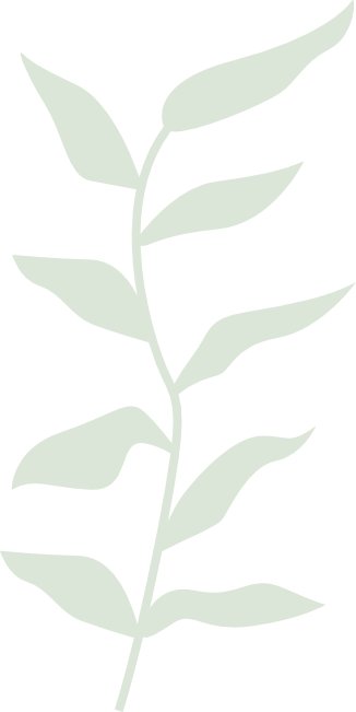 tratamientos capilares